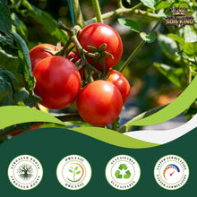 Load image into Gallery viewer, All-Purpose pH Adjusted Organic Soil for Indoor &amp; Outdoor Plants - 40 lb