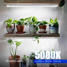 Load image into Gallery viewer, 8-Pack Linkable T5 Grow Lights, 500W Equivalent Full Spectrum - Plant Growth