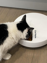 Load image into Gallery viewer, Programmable Automatic Feeder for Cats &amp; Small Dogs - 5 Meal with Ice Packs