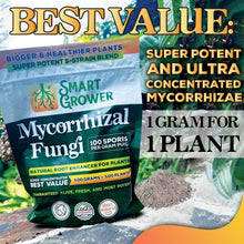 Load image into Gallery viewer, 5-Strain Mycorrhizal Fungi Blend - Potent Support for Garden and Lawn Growth