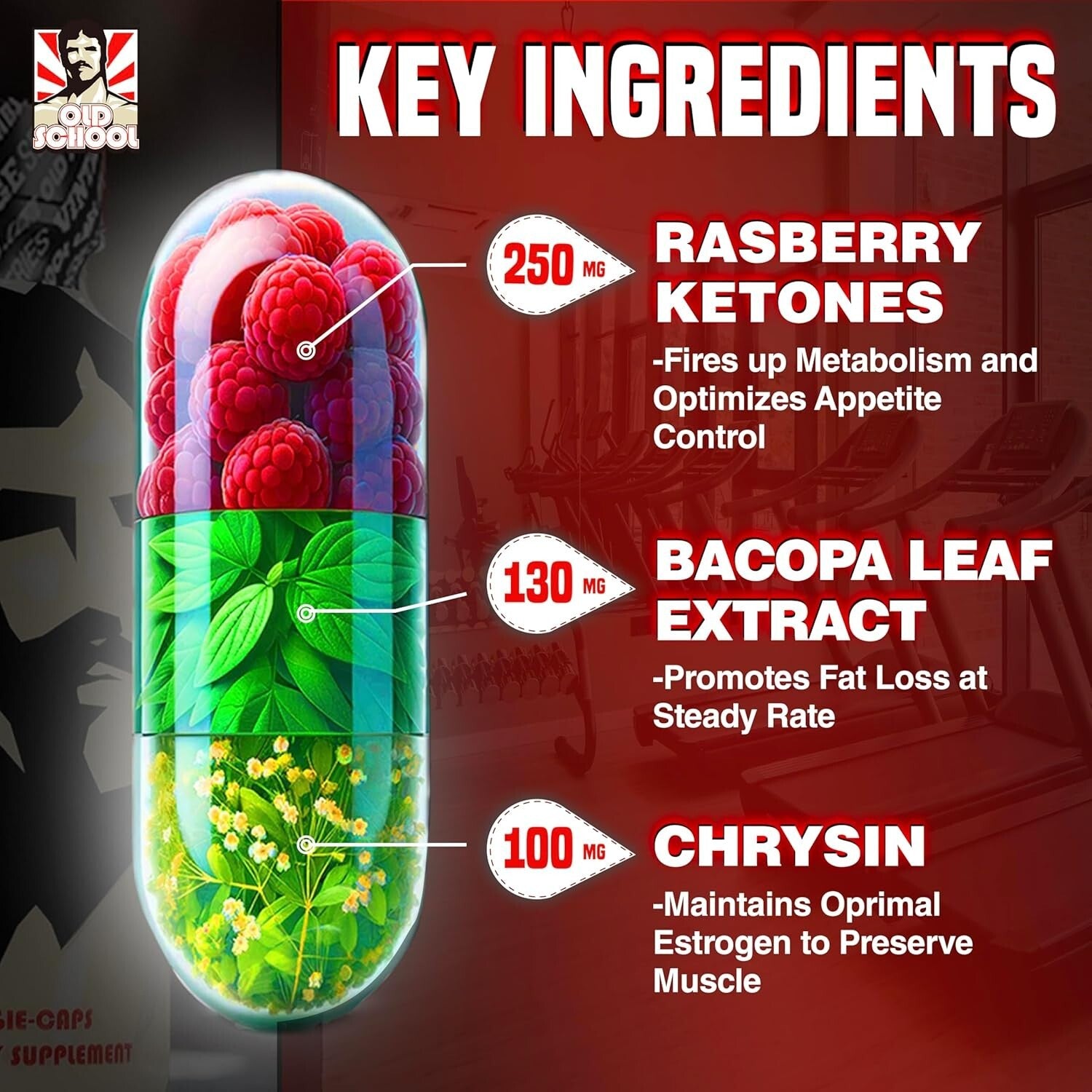 All-Day Energy Fat Burner | Appetite Control & Lean Muscle Support - 120 Count