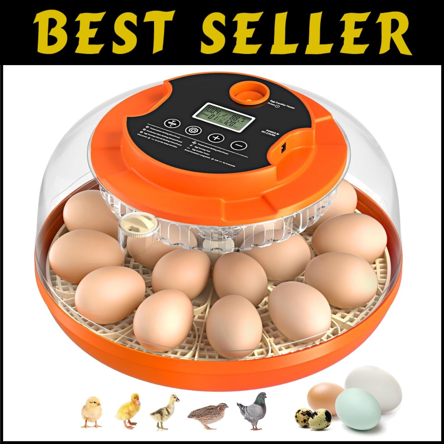 18 Egg Automatic Egg Incubator with Humidity Control - Perfect for Home and Farm
