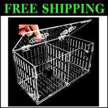 Load image into Gallery viewer, Lightweight 12x6x6 Magnetic Nursery Tank - Ideal for Fish Breeding &amp; Acclimation