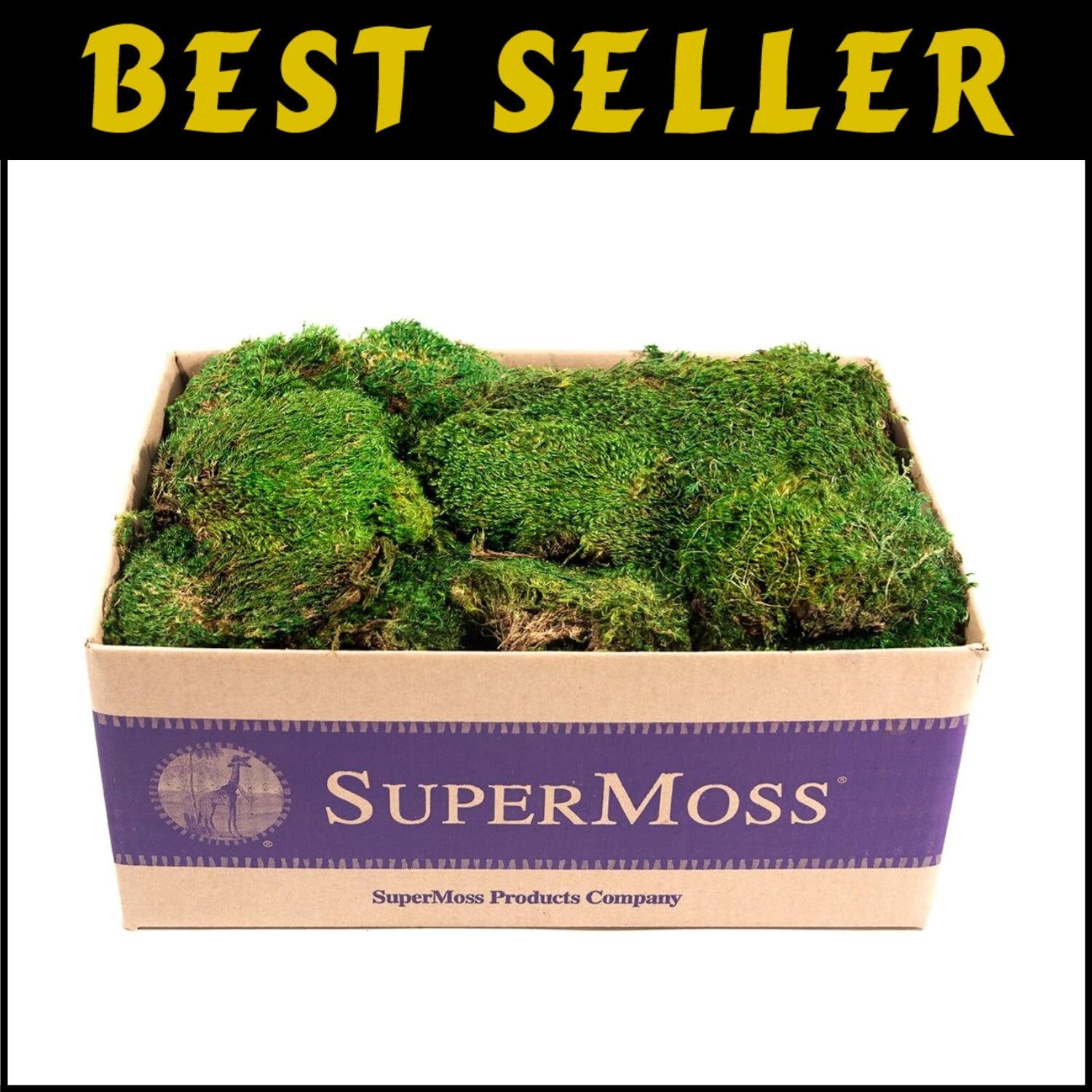 Natural Elegance: Fresh Green Mood Moss for Floral Arrangements - 3 Pounds