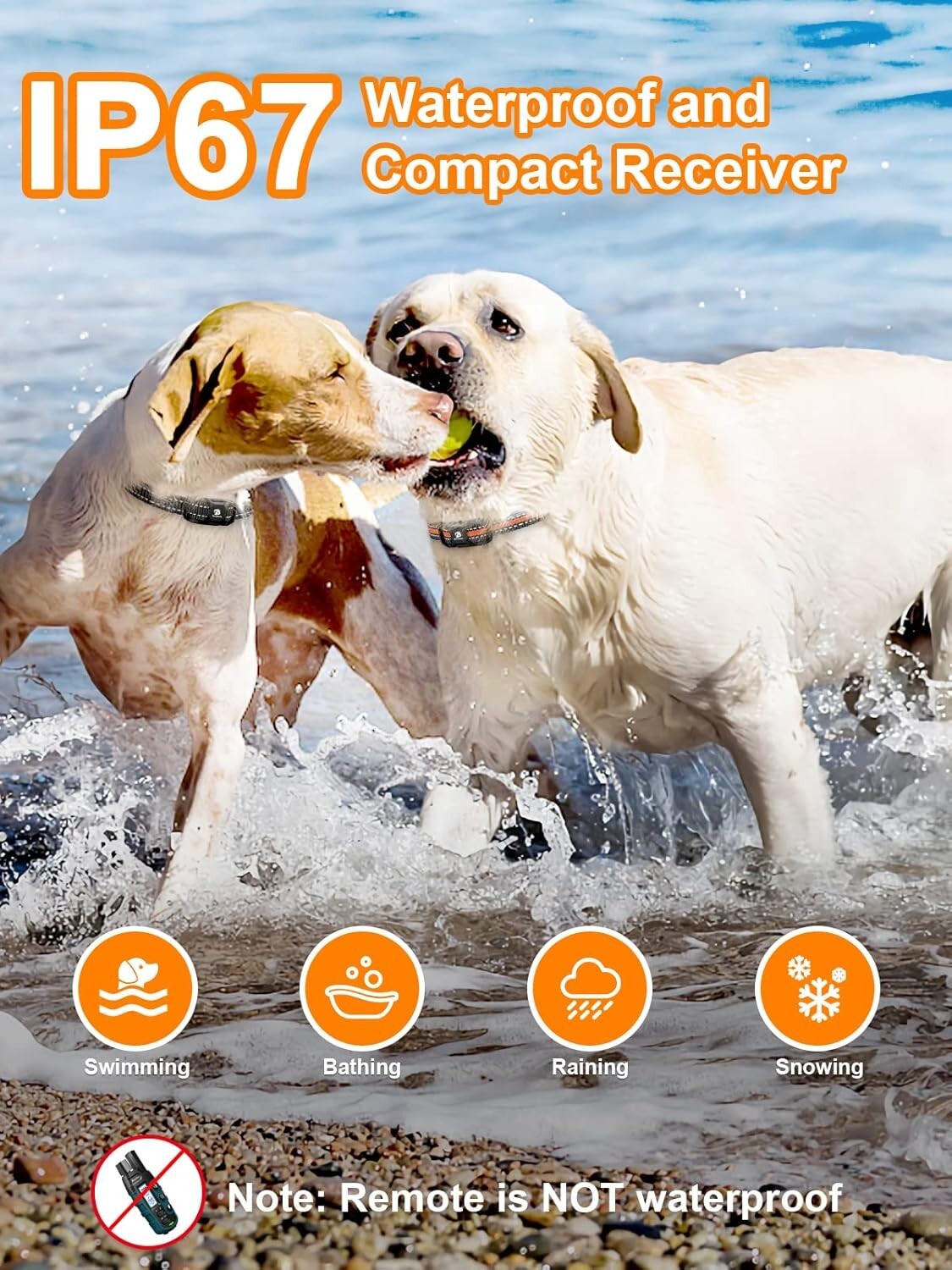 Dual Channel Training Collar with 3300 ft Range - Waterproof & Adjustable Modes