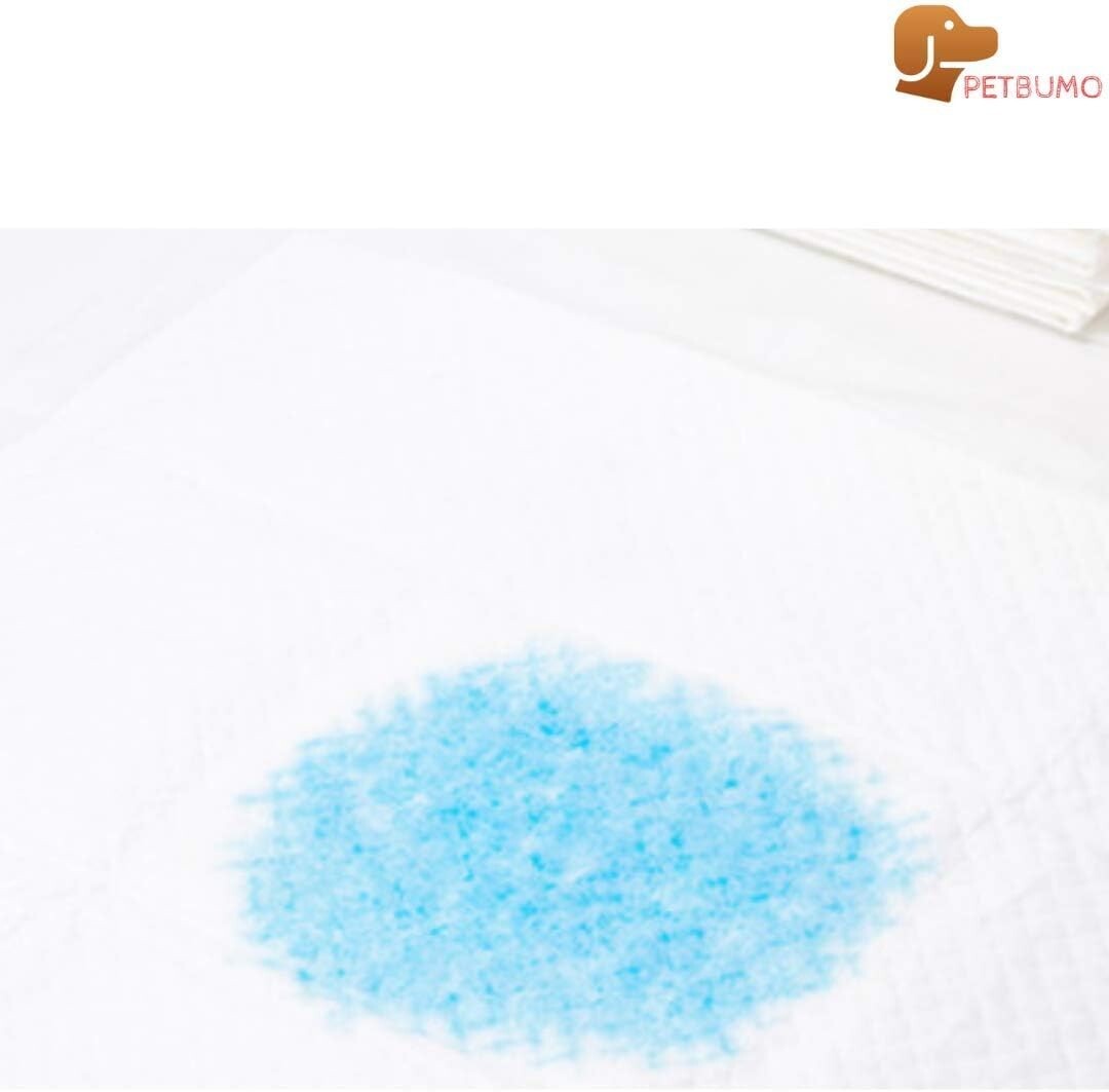 Indoor Potty Tray for Dogs with Protective Walls & 100 Pads for Clean Floors