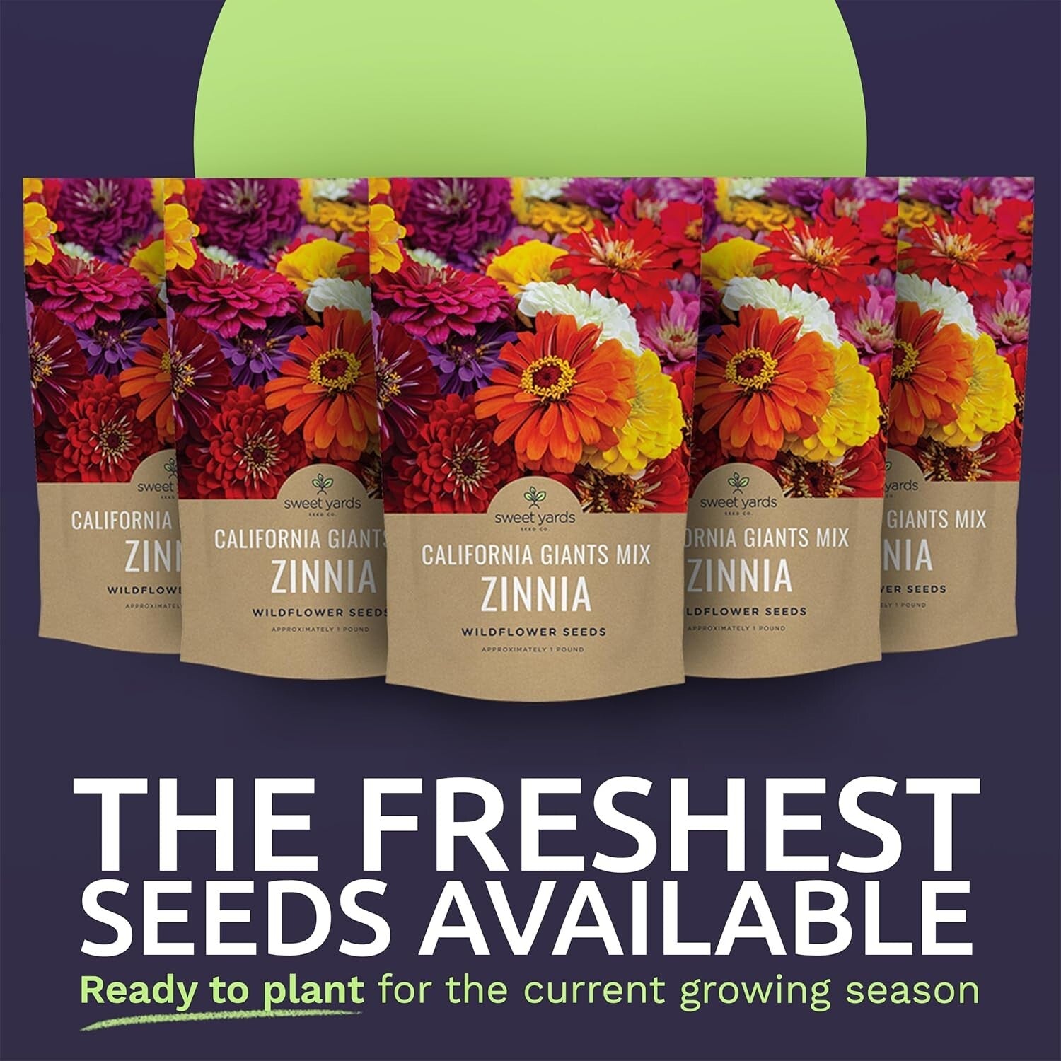 5 lbs of California Giants Zinnia Seeds - Over 240,000 Blooms Your Garden Needs
