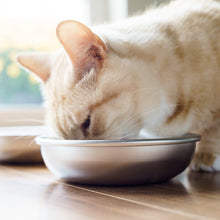 Load image into Gallery viewer, Whisker Friendly Stainless Steel Cat Bowls - 2 Durable Dishwasher Safe Dishes