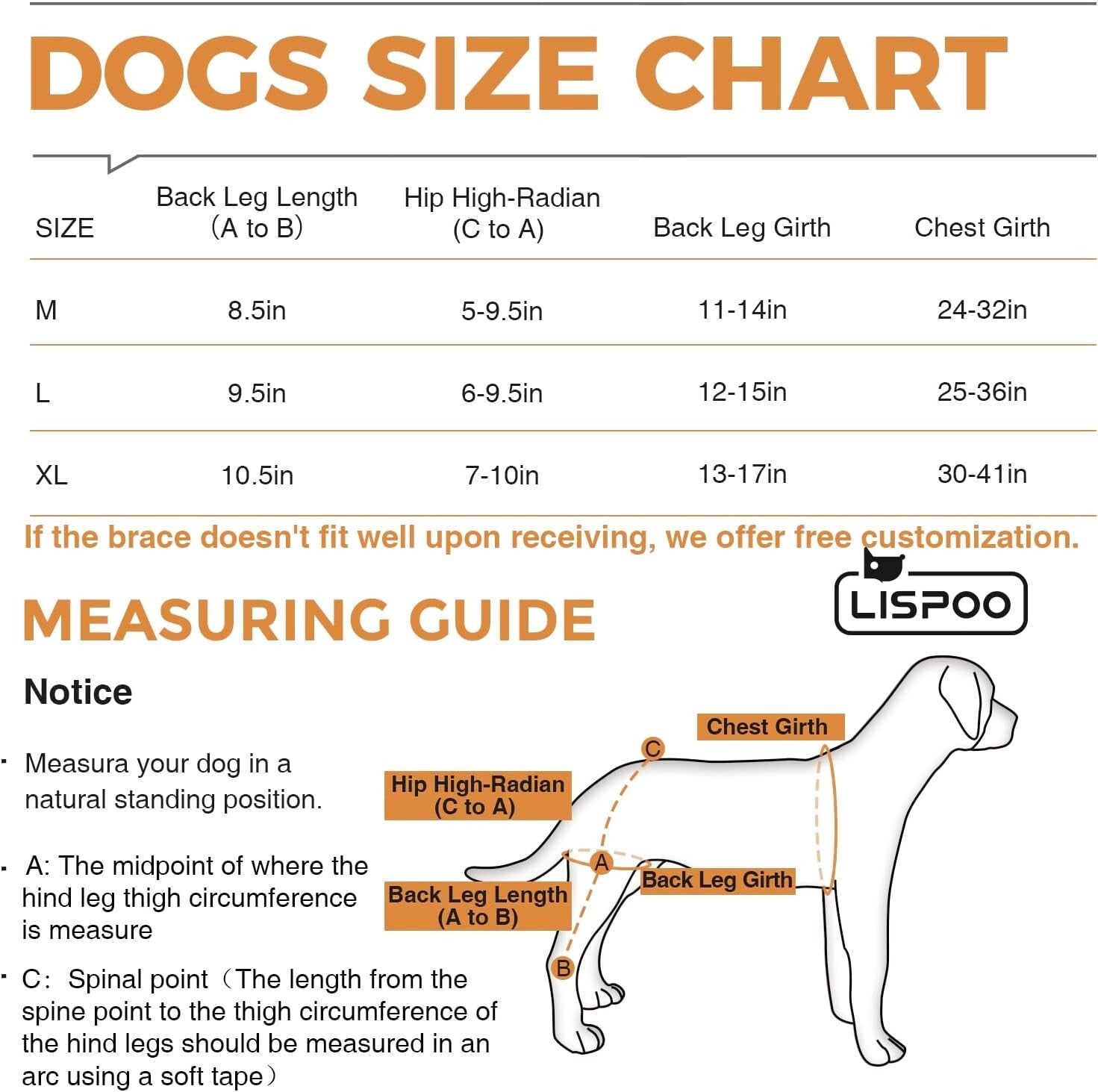 Adjustable Dog Knee Brace for Torn ACL & Luxating Patella – Medium Size