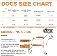 Load image into Gallery viewer, Adjustable Dog Knee Brace for Torn ACL &amp; Luxating Patella – Medium Size