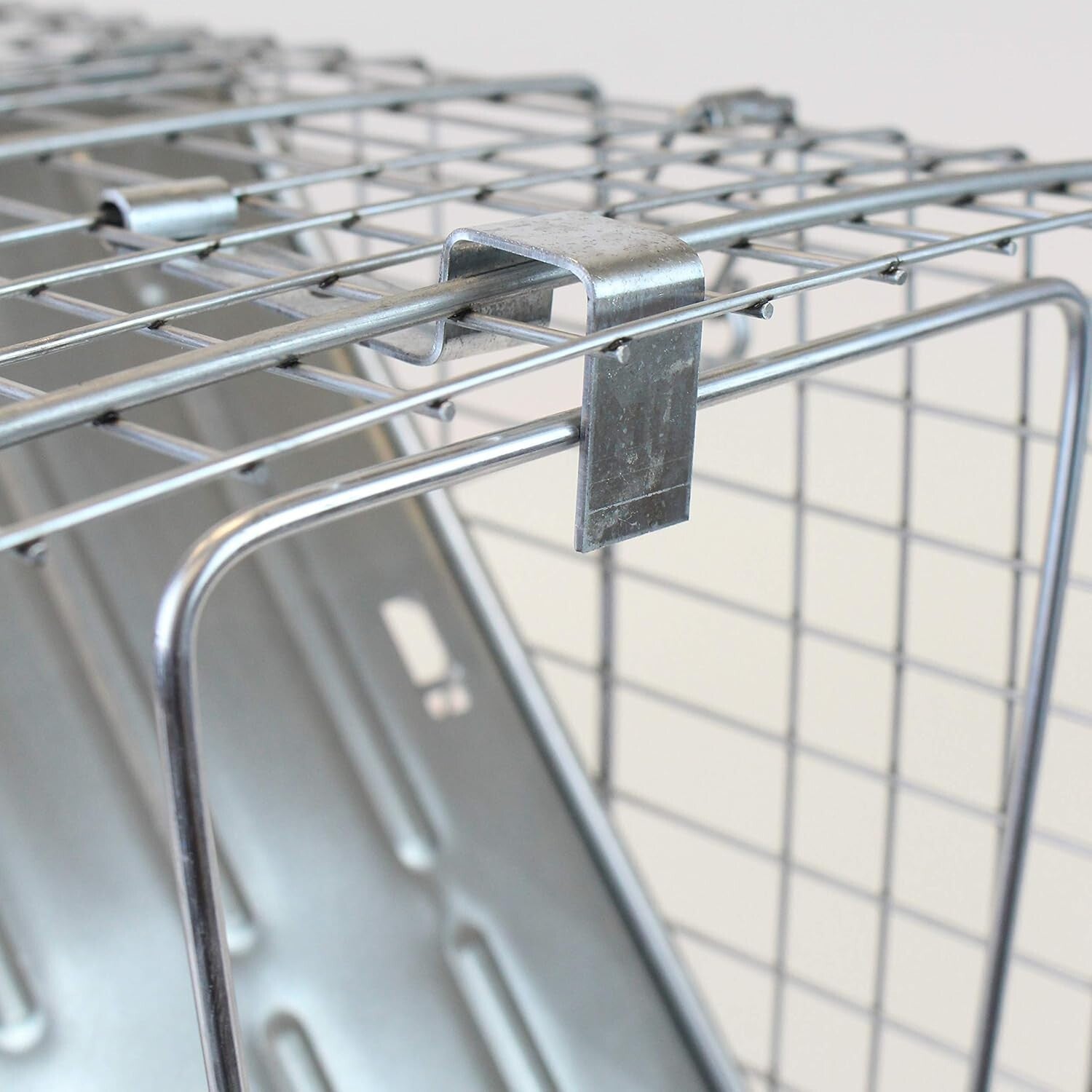 Professional Quality 1-Door Humane Animal Trap - Safe for Cats, Raccoons & More