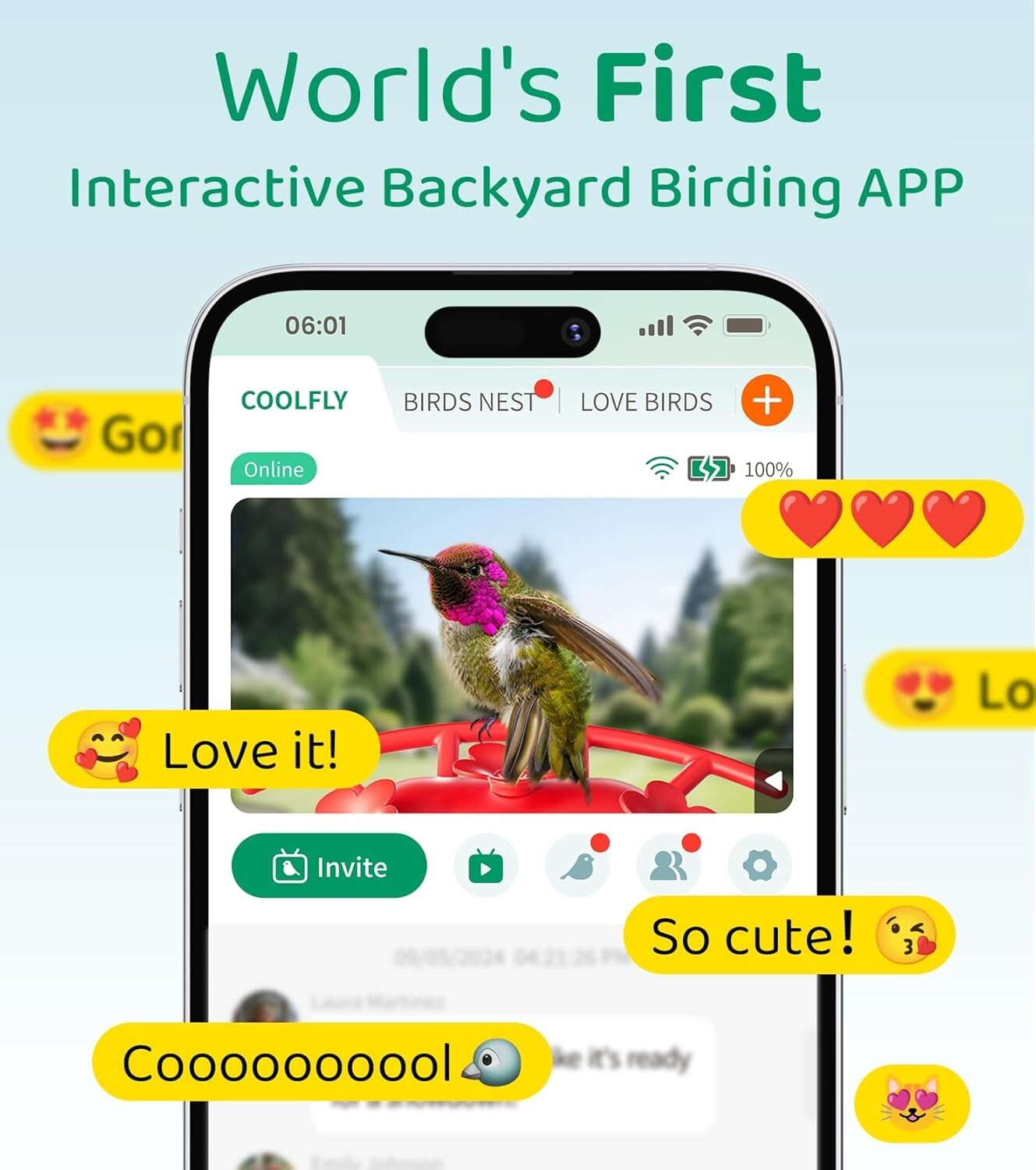 Interactive Hummingbird Feeder with HD Camera & Ant Moat - Gift for Bird Lovers