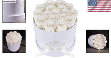 Load image into Gallery viewer, Timeless 17 Luxury Roses Gift in White Velvet Box - Perfect for Any Occasion