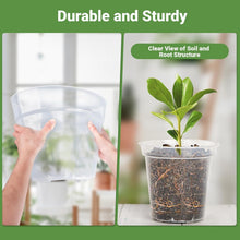 Load image into Gallery viewer, 5-Pack Durable Clear Plastic Planters - 12-Inch with Drainage for Plant Growth