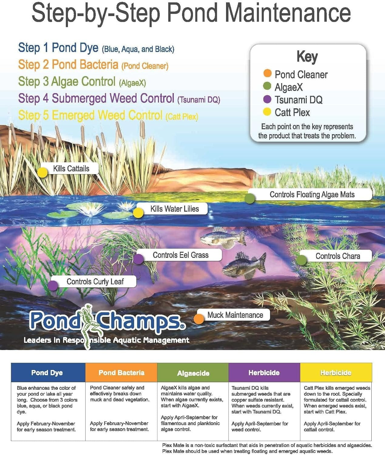 Royal Blue Pond Dye - 4 Gallon Value Pack for Healthy Fish and Vibrant Waters