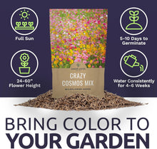 Load image into Gallery viewer, Guaranteed Growth Cosmos Seeds - 1 lb Wildflower Mixture in Premium Packaging