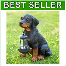 Load image into Gallery viewer, Durable 13” Rottweiler Dog Garden Statue with Solar Lights – Charming Decor