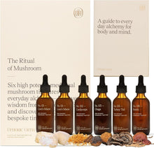 Load image into Gallery viewer, 6-Piece Mushroom Tincture Discovery Set - Wellness Gift for Enthusiasts
