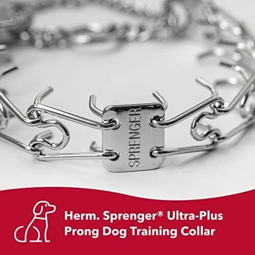 Durable Chrome Prong Dog Collar, 4mm x 21" - Behavior Correction for Large Dogs