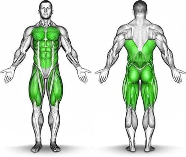 MPA VasoBurn Capsaicin Gel 7oz - Targets Stubborn Fat + Motivational Wristband