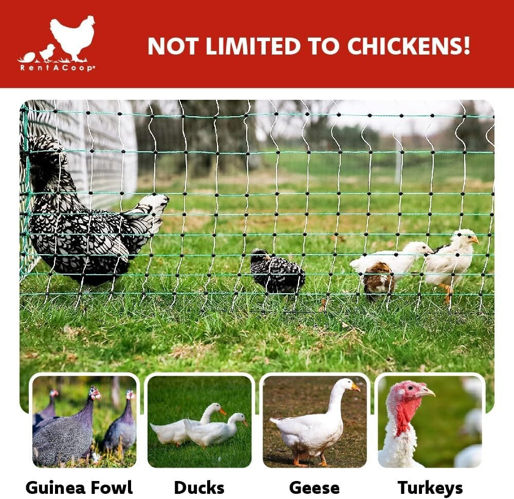 Durable Electric Poultry Enclosure - 48" Tall, 168' Strong Barrier for All Birds