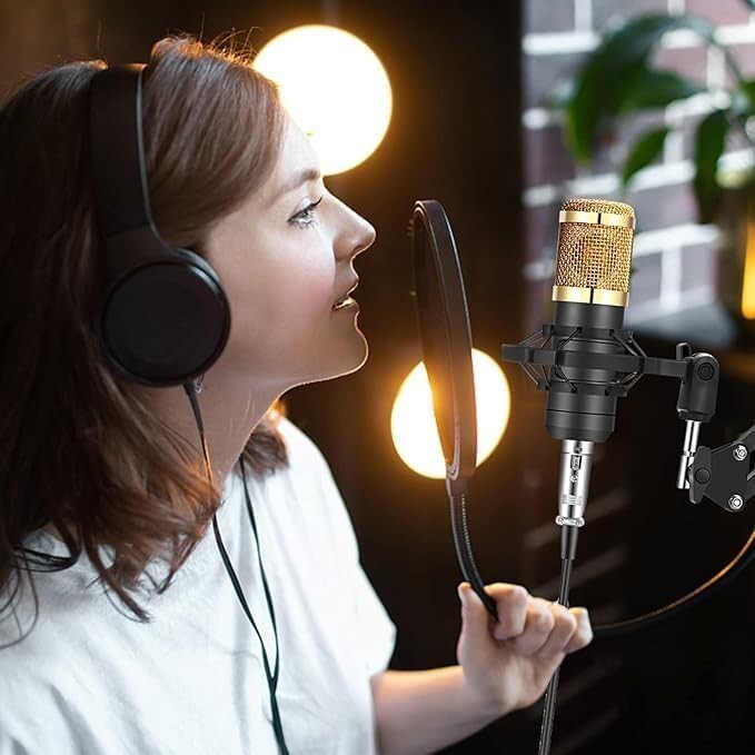 Professional Podcast Bundle with Noise Reduction Mic and Adjustable Arm Stand