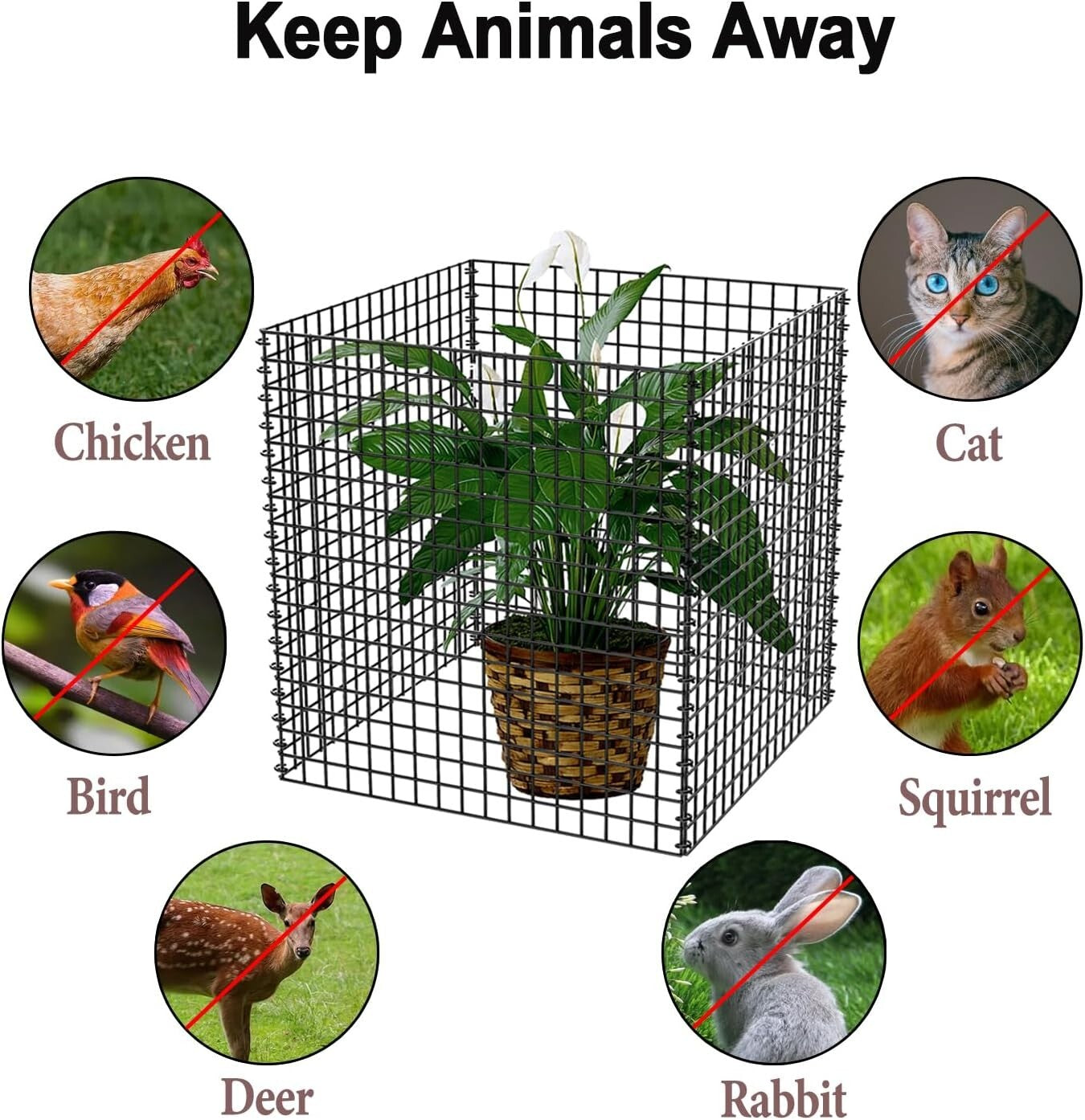 4-Pack Heavy-Duty Wire Plant Protectors - 14.8" Square Animal Cages