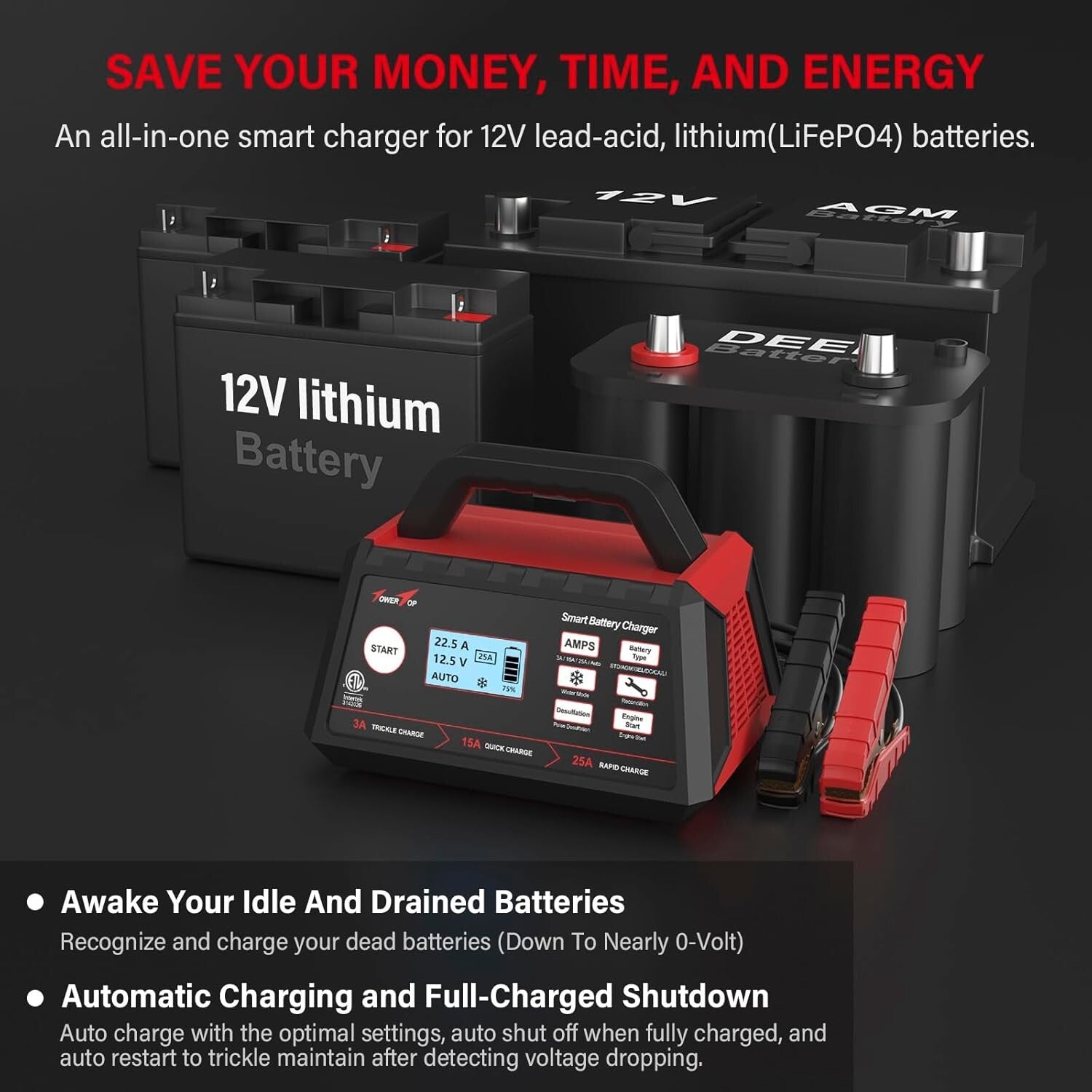 Intelligent Car Battery Maintainer with Advanced Repair Mode & ETL Certification