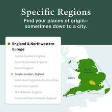 Load image into Gallery viewer, Interactive DNA Ethnicity Test Kit: Explore Ancestry &amp; Family Trees Effortlessly