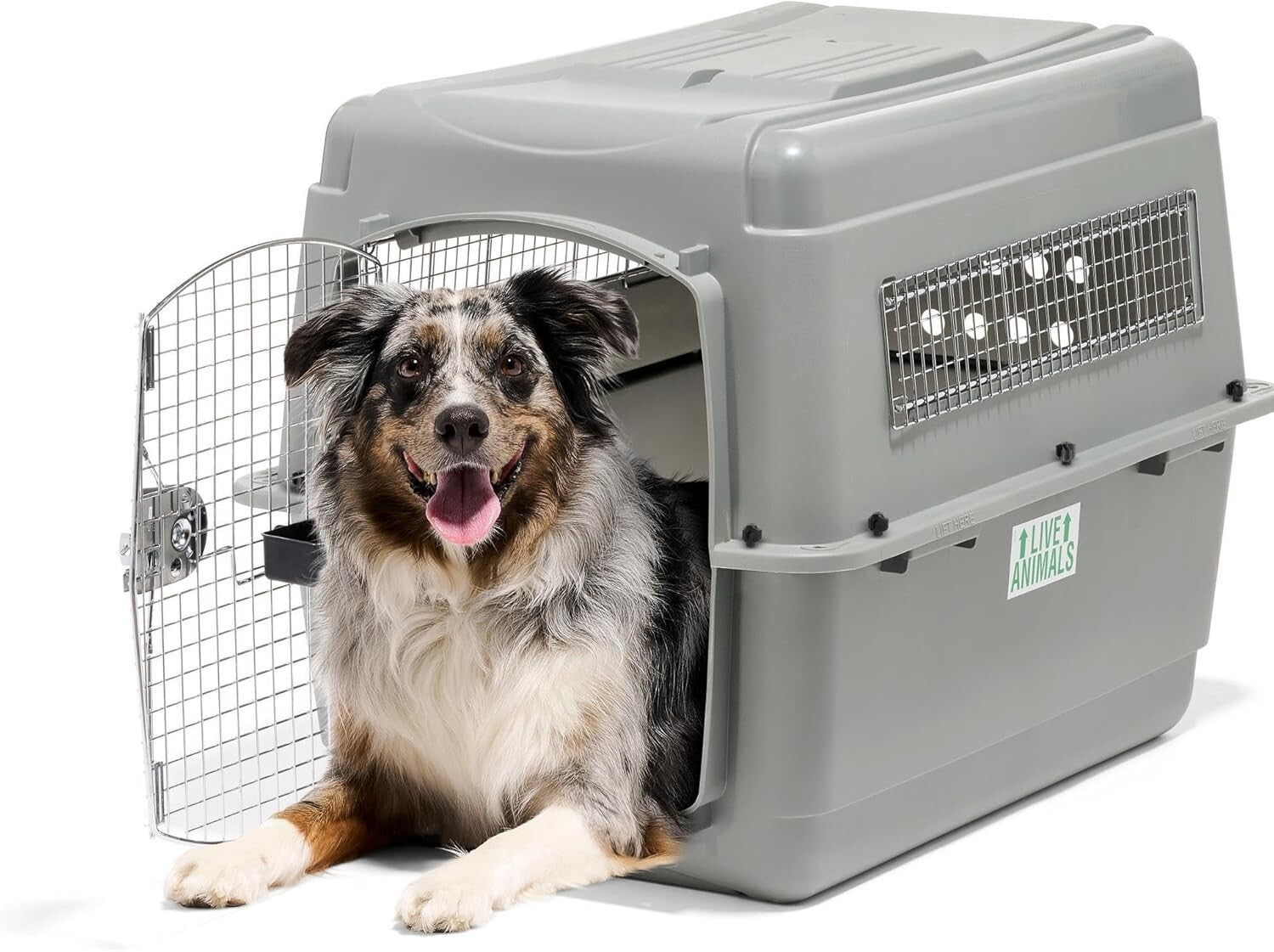 IATA Compliant Sky Kennel for Dogs 50-70 lbs - Secure Airline Approved Crate