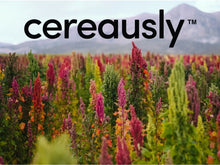 Load image into Gallery viewer, Premium Organic White Quinoa | Kosher Non-GMO Bulk for Delicious Meals, 10 LB