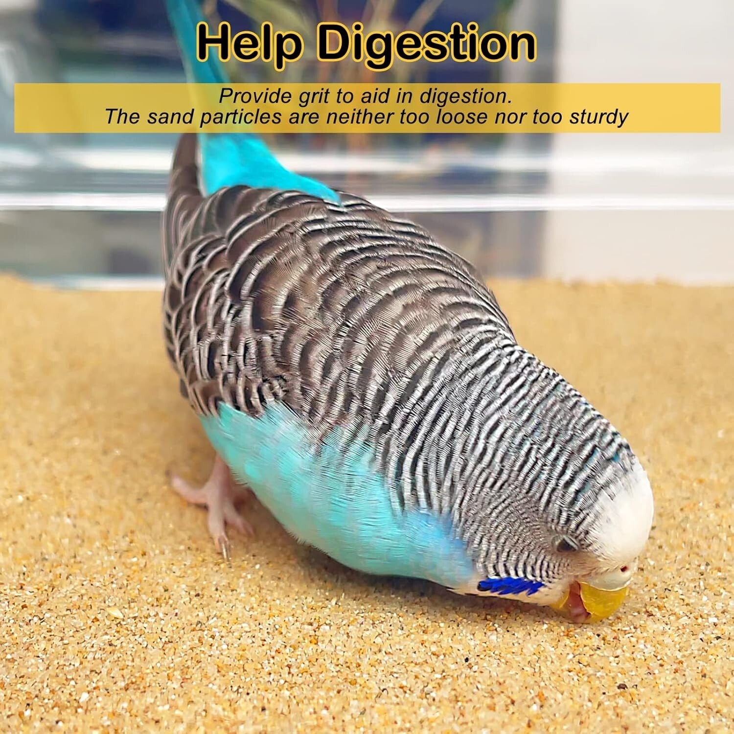 Disposable Bird Cage Liner 11" x 17" - Essential for Parakeets & Cockatiels