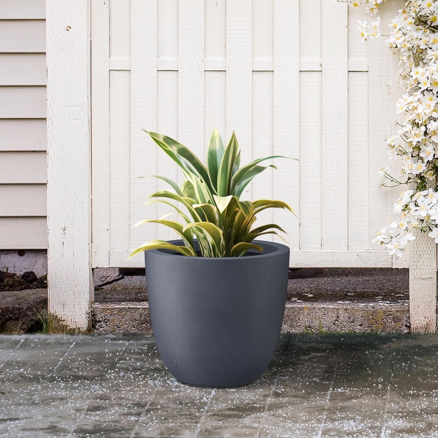 Elegant 14" Diameter Concrete Planter with Rubber Plug - Perfect for Every Space