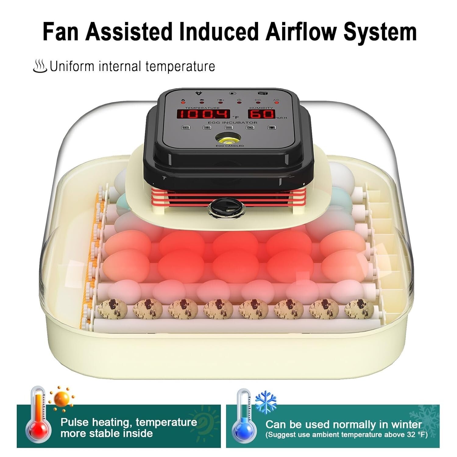 Efficient 35 Egg Incubator: Automatic Turning, Humidity Control & Visual Design