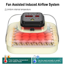 Load image into Gallery viewer, Efficient 35 Egg Incubator: Automatic Turning, Humidity Control &amp; Visual Design