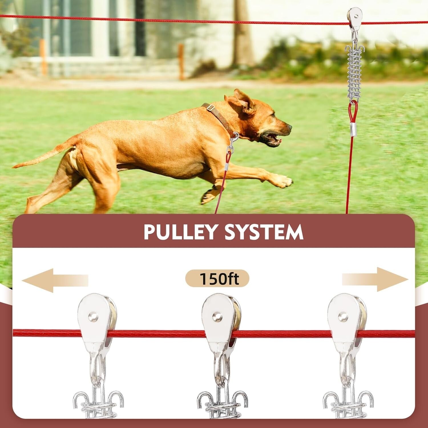Durable Outdoor Dog Runner with Shock Absorbing Spring & Tangle-Free Clip
