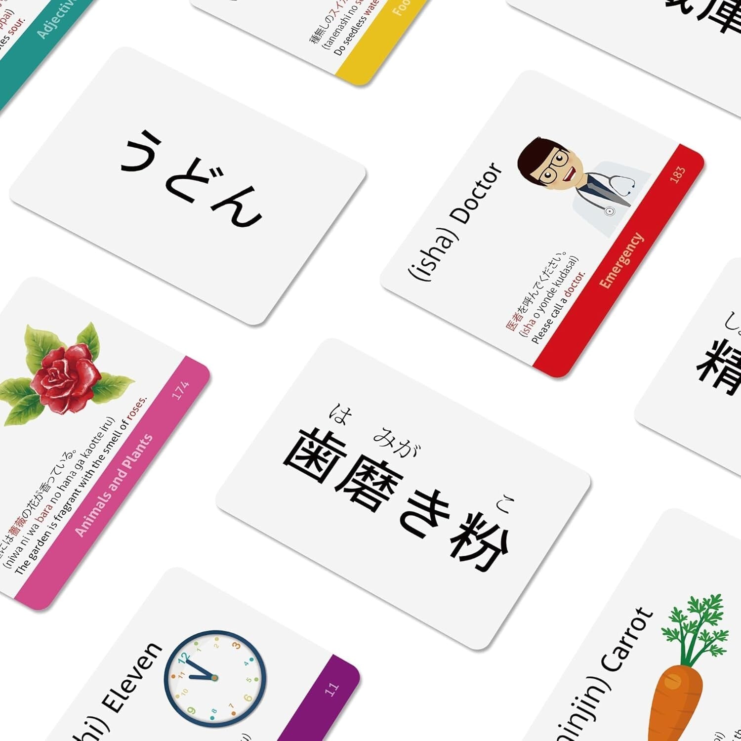 Comprehensive Japanese Flash Cards - 218 Essential Words with Images & Sentences