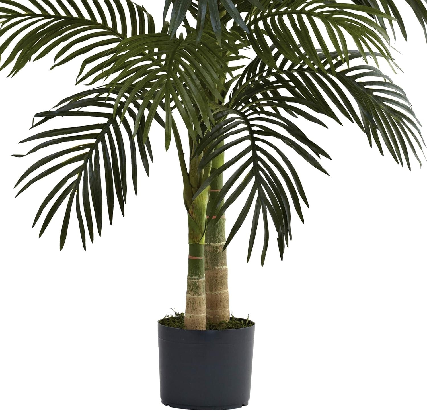 Elegant 4ft Golden Cane Palm Tree - Perfect for Home or Office Aesthetics