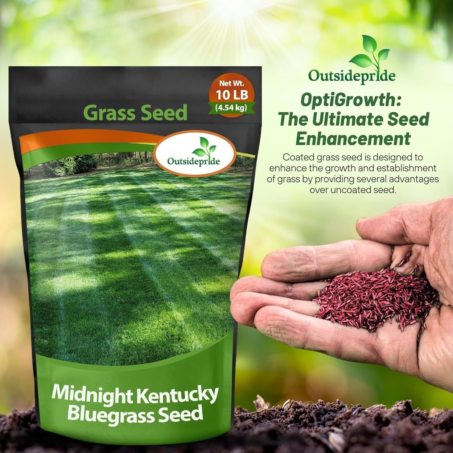 10 Lbs of Cold & Drought Tolerant Kentucky Bluegrass Seed - OptiGrowth Coated