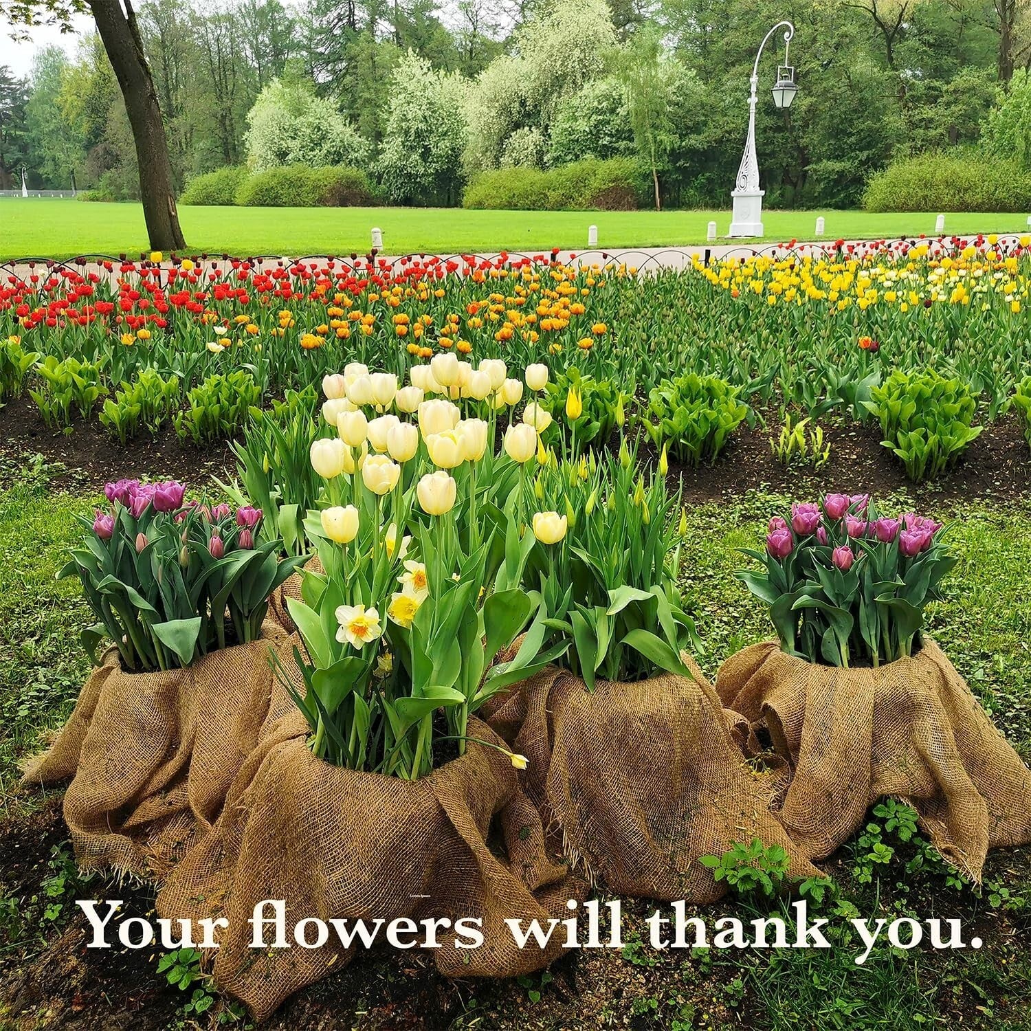 Customizable Natural Jute Burlap Roll 40"x150' - Premium Solution for Gardeners