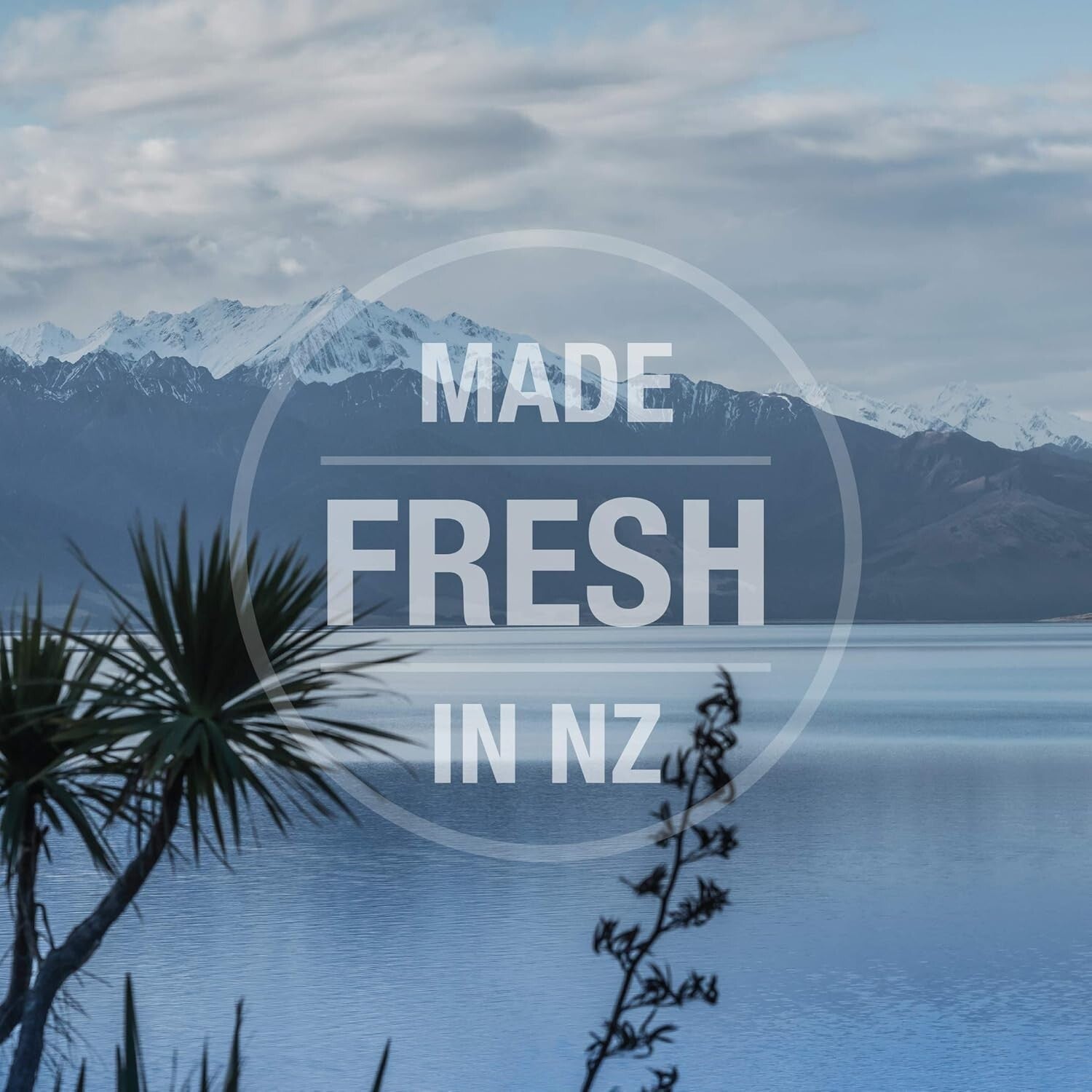 Hydration Boosting Chicken Feast Pate - 24 x 3 Ounce Grain-Free Cat Meals