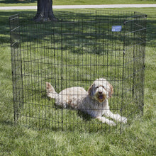 Load image into Gallery viewer, Secure &amp; Spacious Pet Exercise Pen, 24" W x 48" H - Ideal for Indoor/Outdoor Use