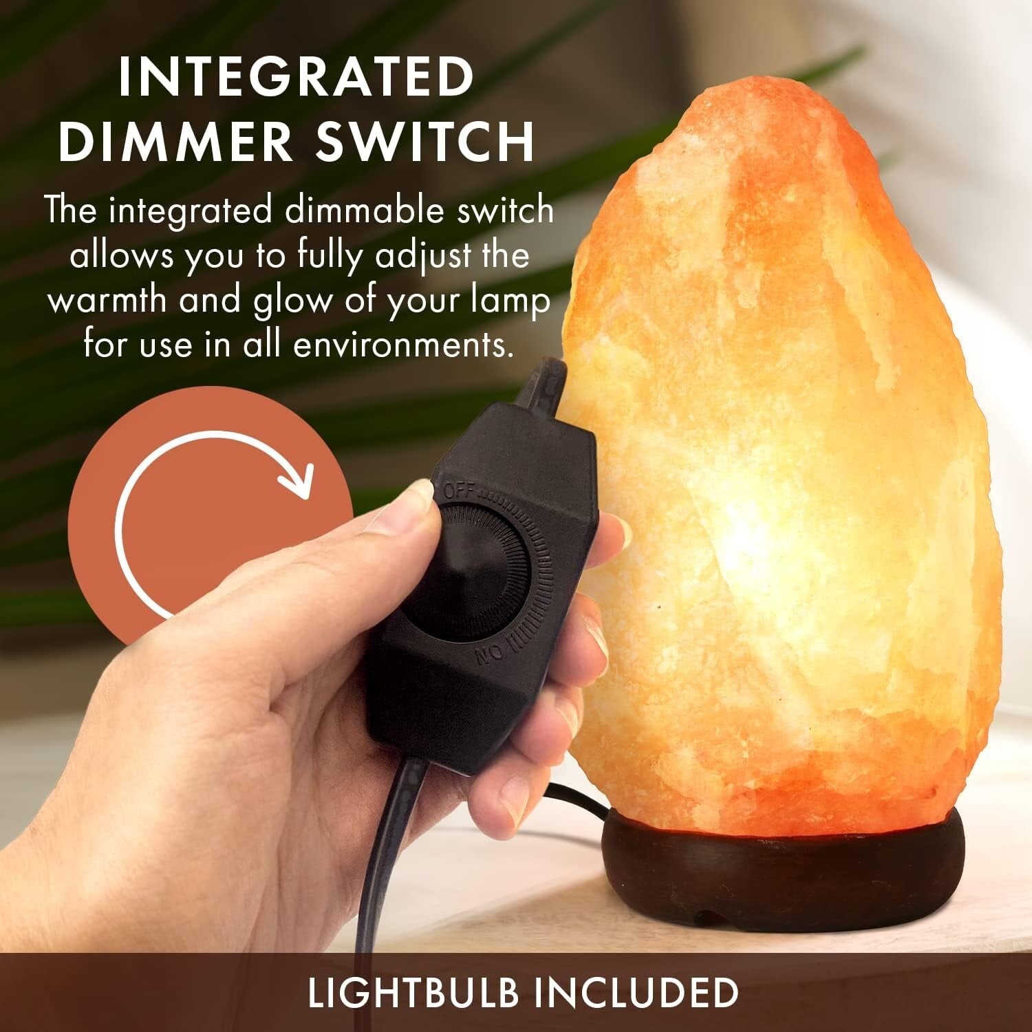 10-12 Inch Himalayan Salt Lamp with Dimmable Switch & Wooden Base - Nightlight