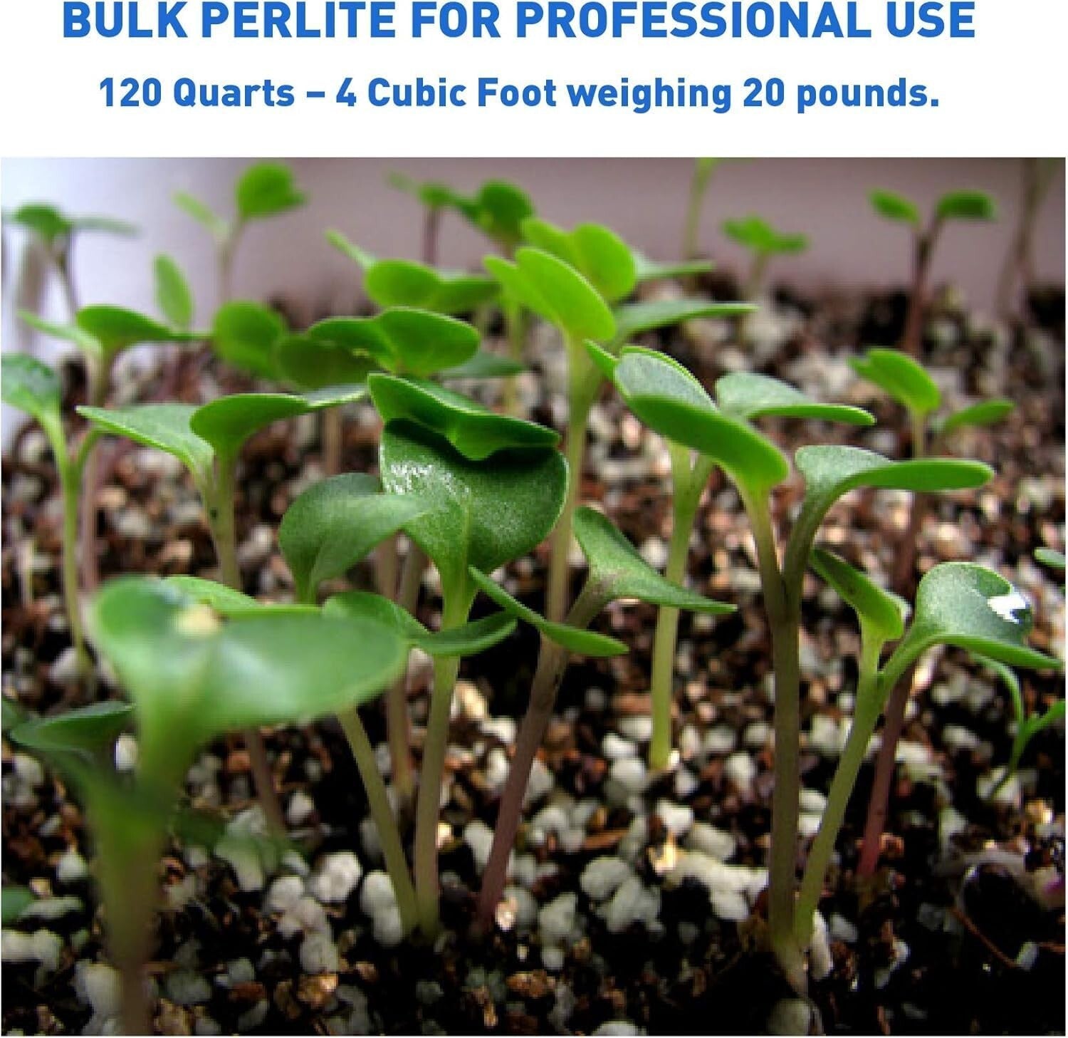 120 Quart Non-Decay Organic Perlite for Healthy Plant Growth and Root Anchoring