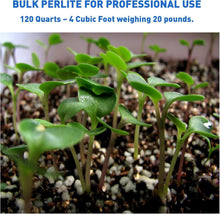 Load image into Gallery viewer, 120 Quart Non-Decay Organic Perlite for Healthy Plant Growth and Root Anchoring
