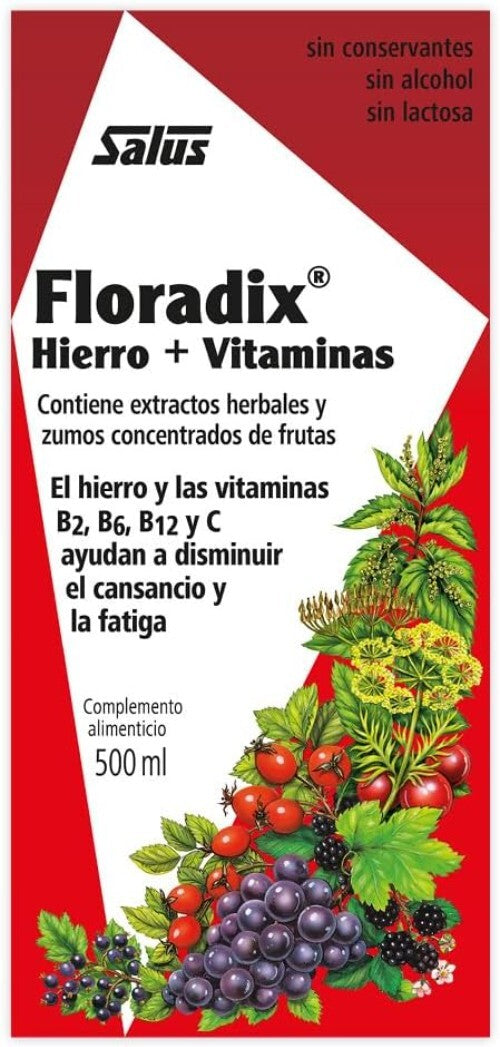 Floradix Iron + Herbs – Convenient 500 ML for Energy Boost & Healthy Metabolism