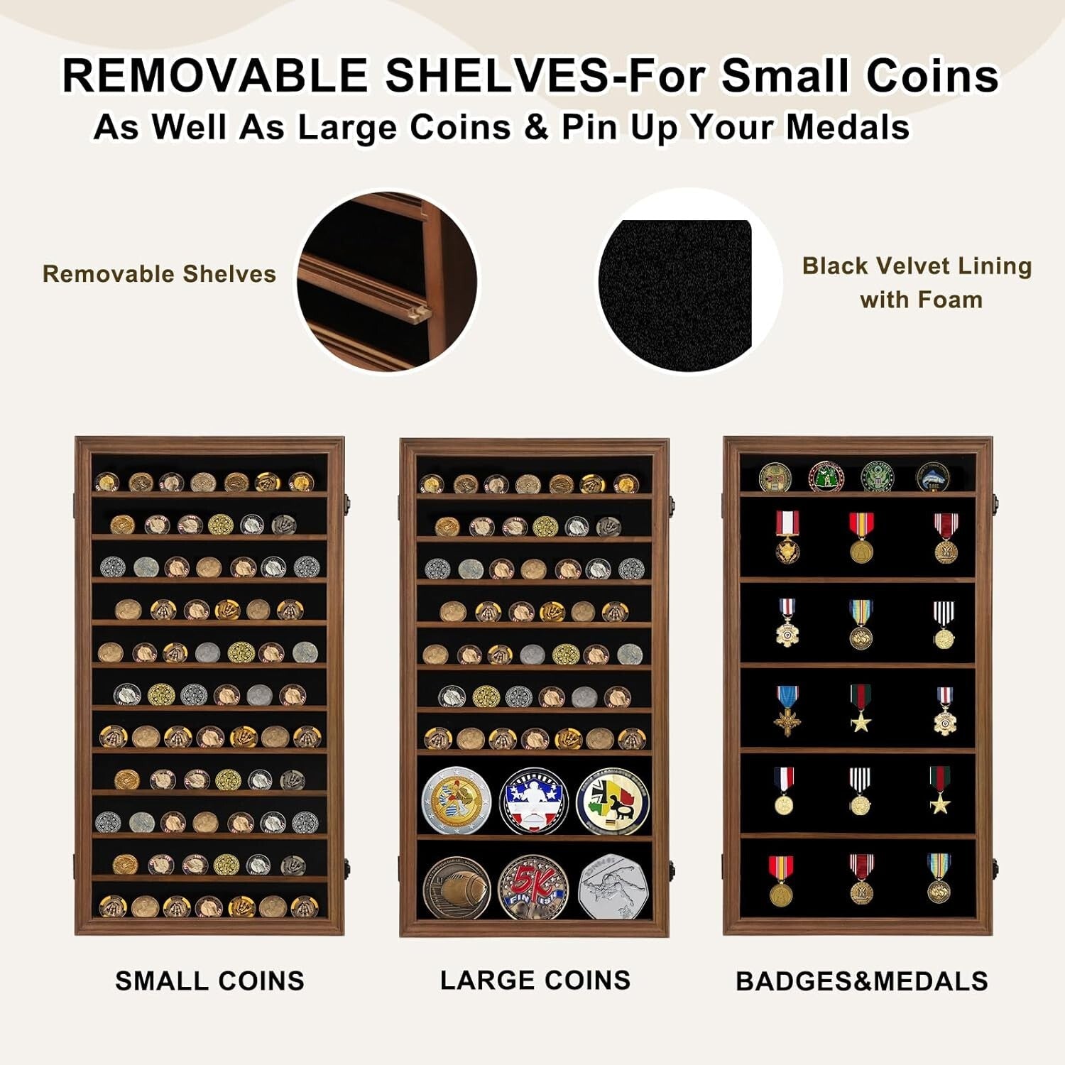 Removable Shelf Coin Display Case - Protects, Organizes & Showcases Collectibles