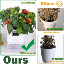 Load image into Gallery viewer, Elegant 7-Inch Self-Watering Pots for Indoor Plants – 8 Pack with Drainage Holes