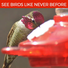 Load image into Gallery viewer, No-Leak Window Hummingbird Feeders with 3 Interchangeable Flower Colors - 2 Pack