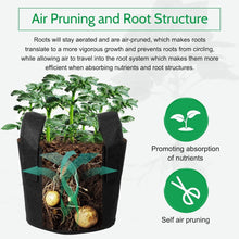 Load image into Gallery viewer, Space-Efficient Black Fabric Grow Bags 25 Gallon - Set of 12 with Plant Labels
